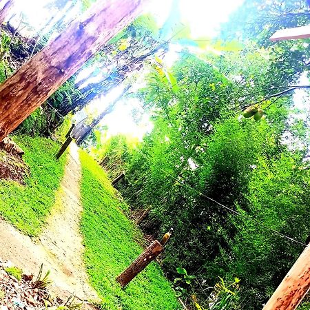 Ella Foret Accommodation Luaran gambar