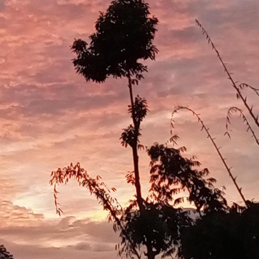 Ella Foret Accommodation Luaran gambar