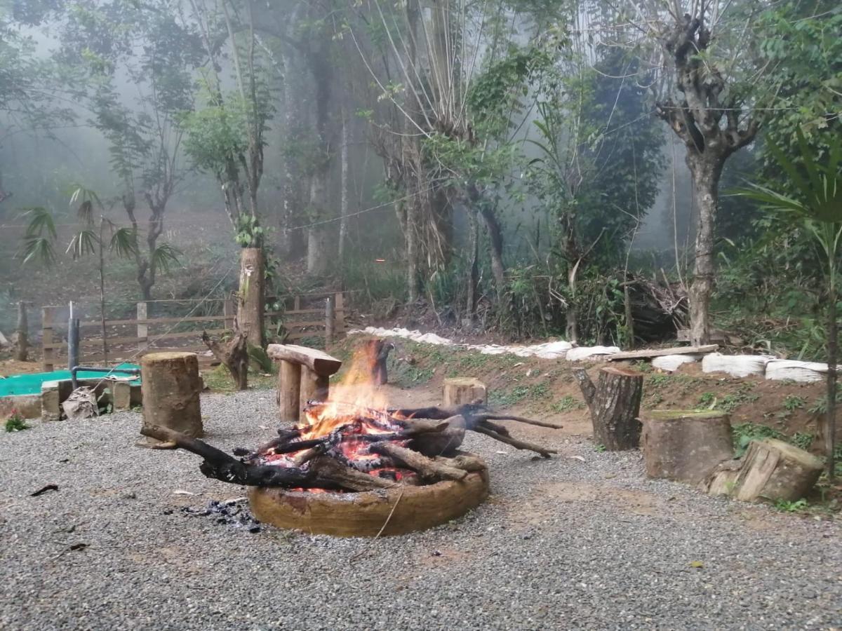 Ella Foret Accommodation Luaran gambar