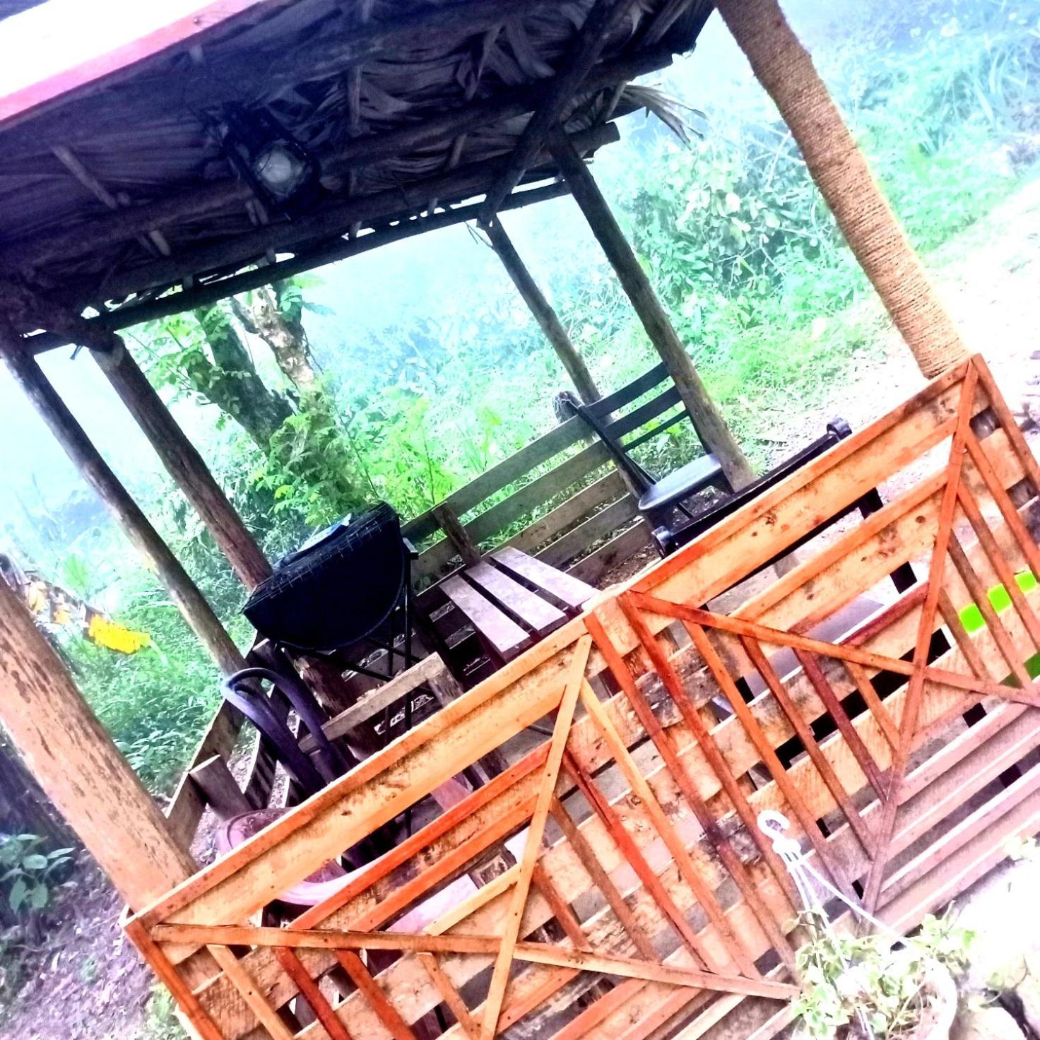 Ella Foret Accommodation Luaran gambar
