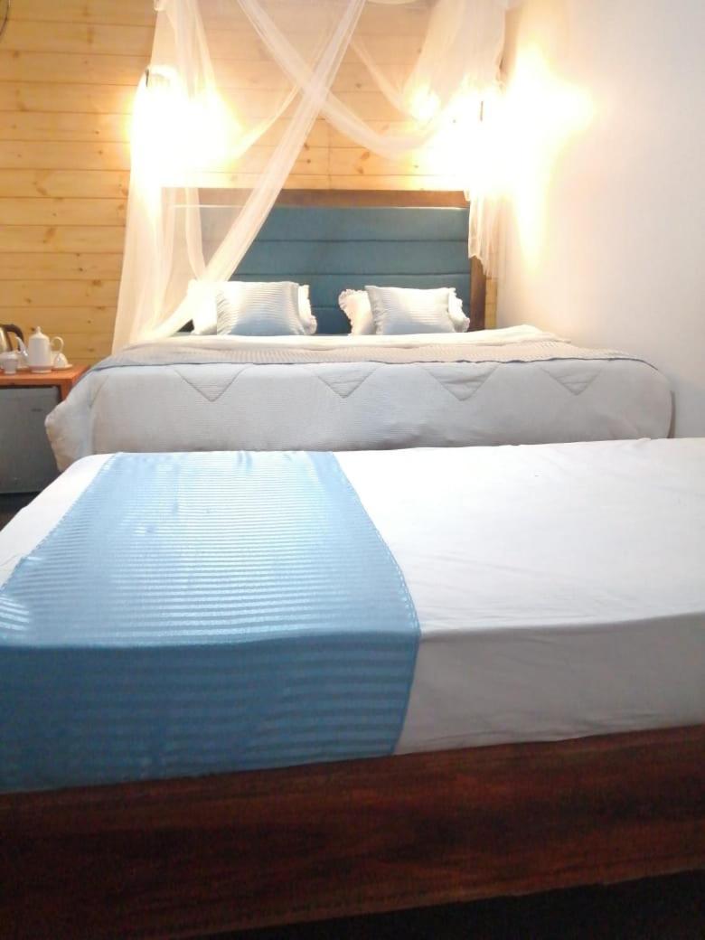 Ella Foret Accommodation Luaran gambar