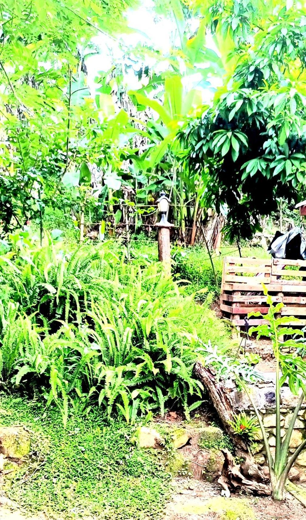 Ella Foret Accommodation Luaran gambar